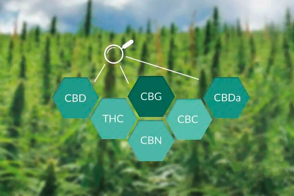 Каннабиноидные кислоты Каннабиноидные кислоты